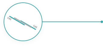 俄罗斯专享会294(中国游)官方网站